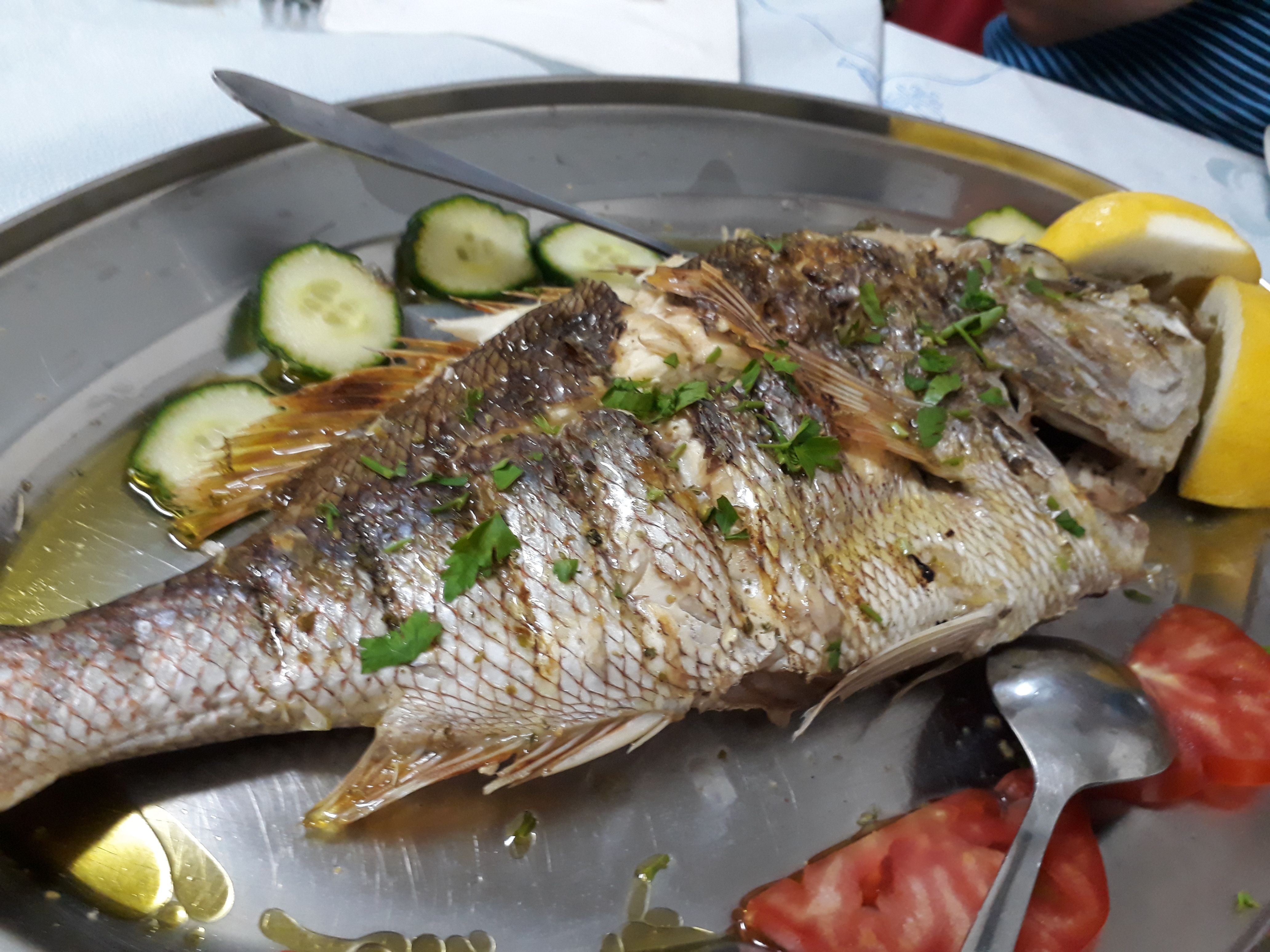 Gegrillter Fisch - Die große Reise