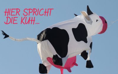 Die Kuh kifft