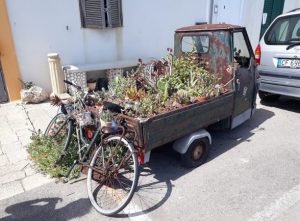 12. bis 14. Woche: Messolonghi nach Leuca